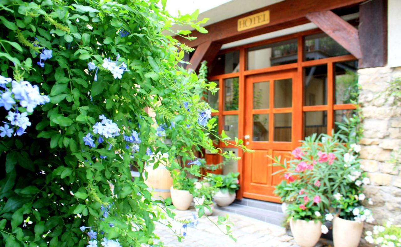 D & S Hotel & Ferienwohnungen بيزيغهايم المظهر الخارجي الصورة