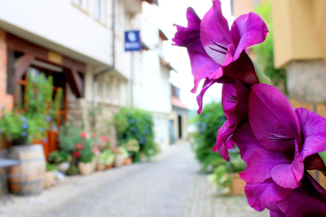 D & S Hotel & Ferienwohnungen بيزيغهايم المظهر الخارجي الصورة